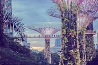 Guide to Optimizing AI Chatbot Performance